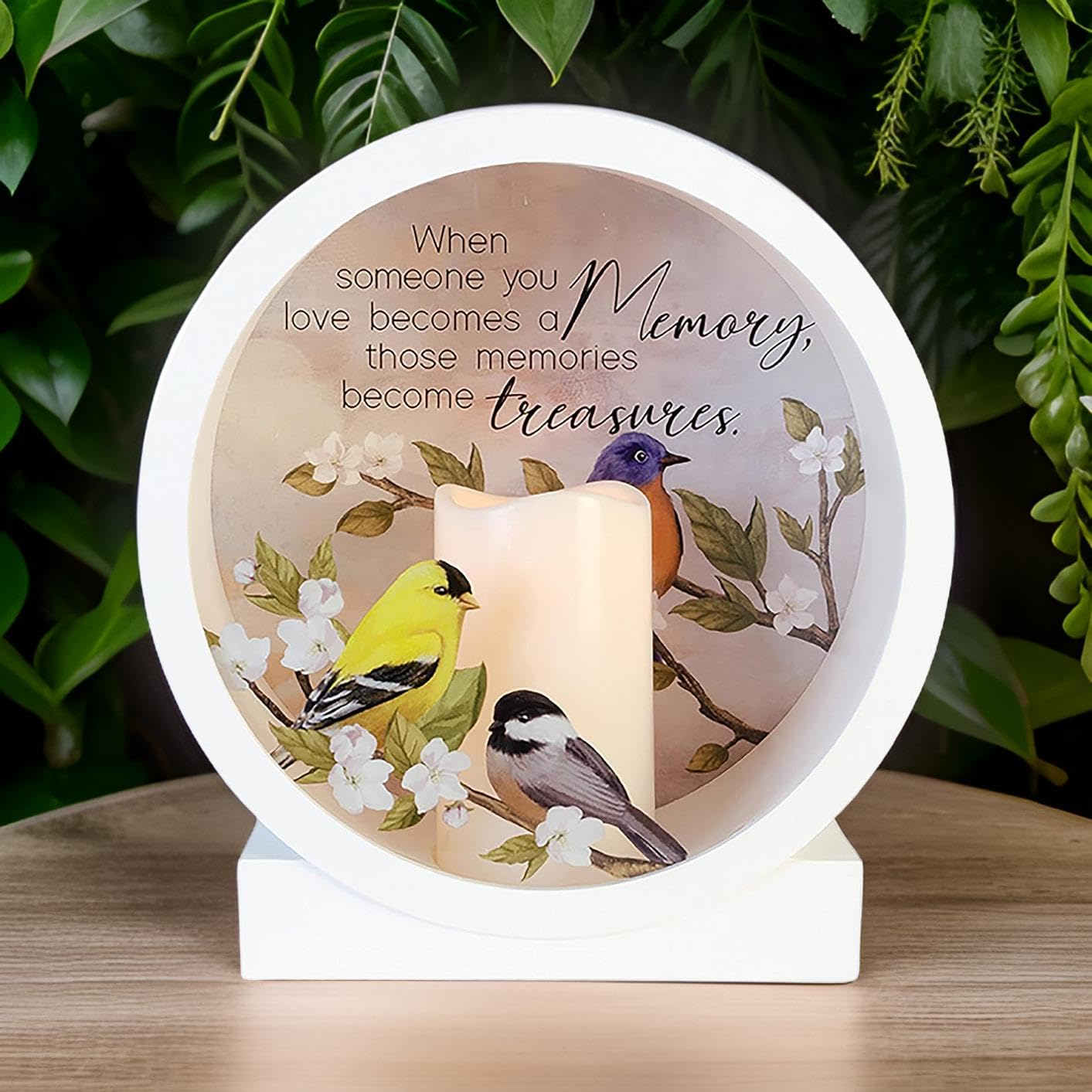 Amazon.com: Carson Memorial Lantern Shadow Box with Flameless LED